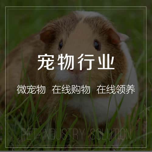 黔南布依族苗族宠物