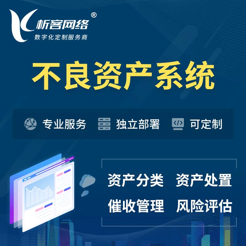 黔南布依族苗族不良资产管理系统